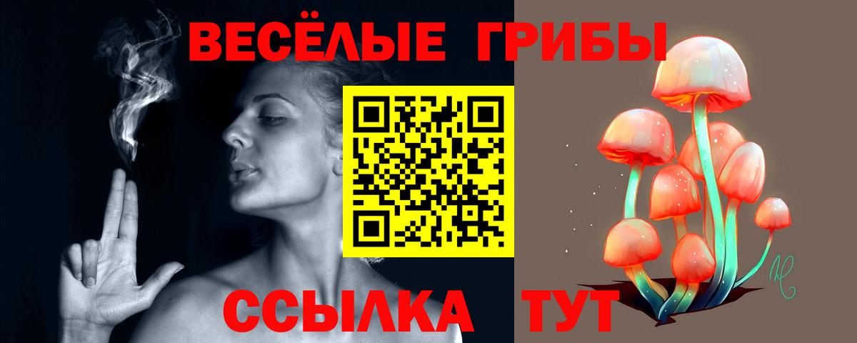 Канаш  Псилоцибиновые грибы мицелий  Вход с VPN  Псилоцибиновые грибы MAGIC MUSHROOMS 